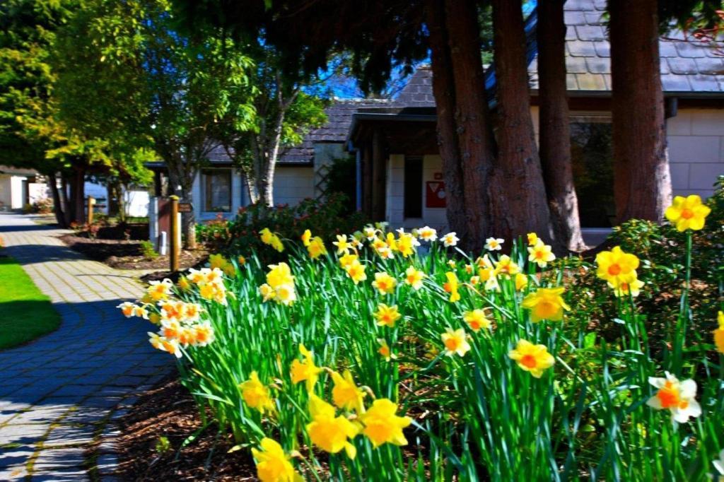 Distinction Te Anau Hotel & Villas Eksteriør bilde